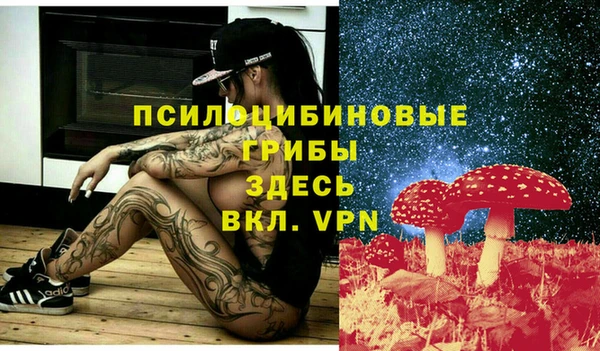 хмурый Куйбышев
