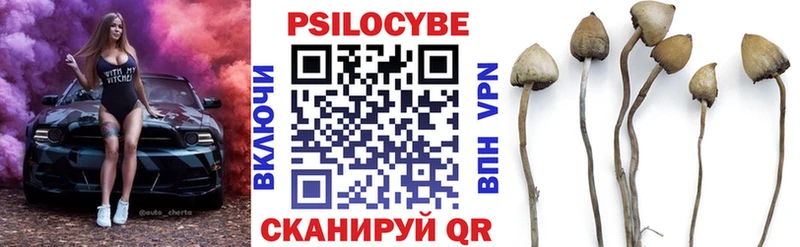 где можно купить наркотик Великий Новгород hydra маркетплейс Псилоцибиновые грибы Cubensis