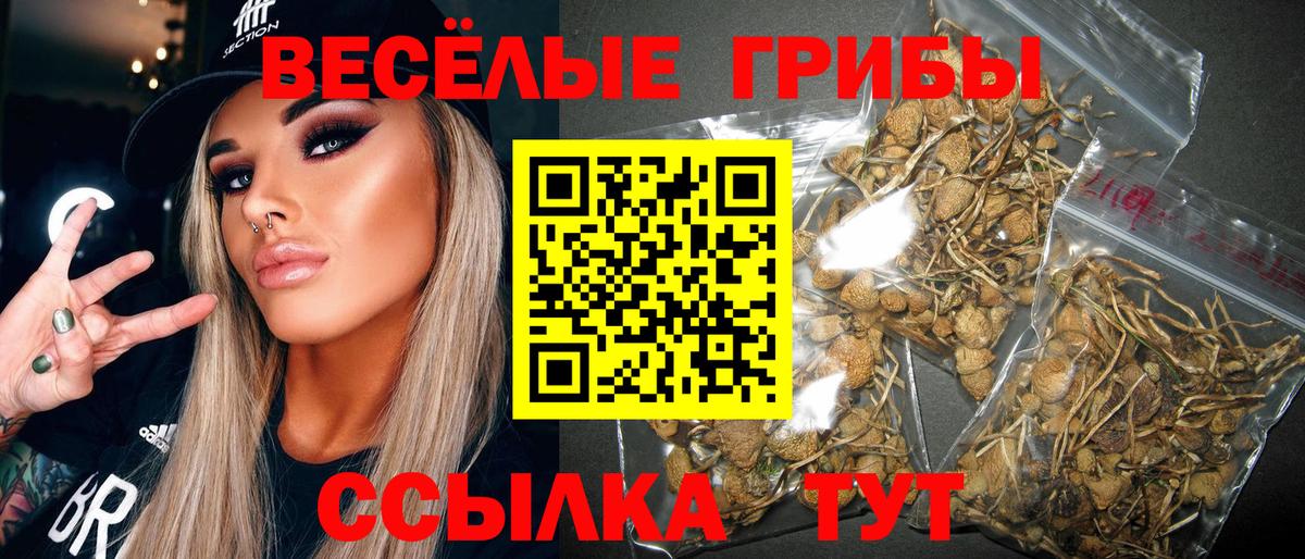 Великий Новгород  Галлюциногенные грибы Psilocybe  Вход с VPN 